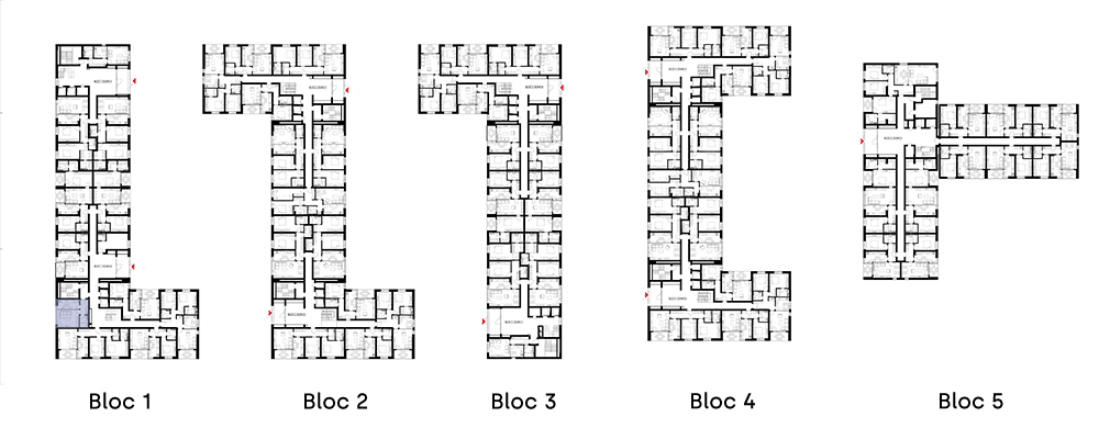 imagine plan